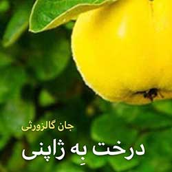 درخت به ژاپنی
