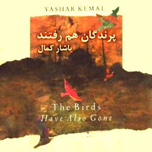پرندگان هم رفتند